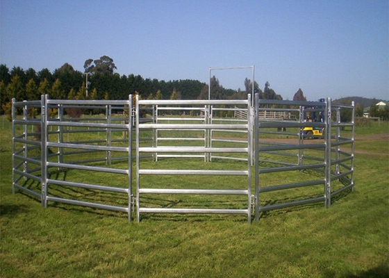 2100mm Width Cow Fence Panels , 1800mm Height Galvanized Cattle Panels