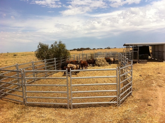 Odm Portable 1.0mm Thick Heavy Duty Galvanized Corral Panels 1.8x3.37m