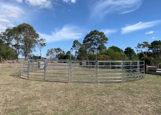 Galvanized Welded 1.8m Height Yard Fence Panel For Livestock Horse Farm Fencing