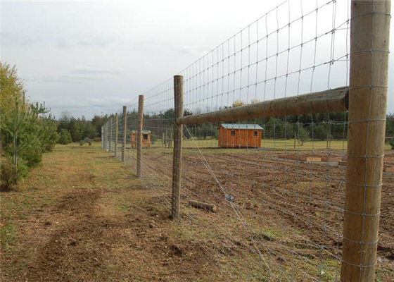 CE  0.5-2.1m High Galvanized Woven Wire Fence Hinge Joint Field Fence For Cattle