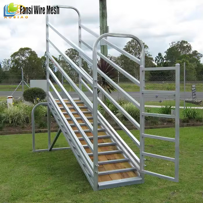 Galvanized Livestock Equipment Adjustable Cattle Sheep Loading Ramp
