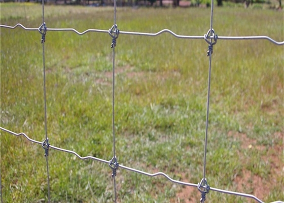 Rustproof 6ft Height Hinge Joint Field Fence With Galvanized Wire