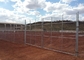 SS 5ft High Chain Link Fence , 20m/Roll Cyclone Mesh Fencing