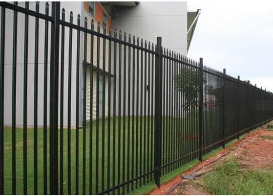 Tubular 7ftx8ft Ornamental Metal Fence Panels Fadeless