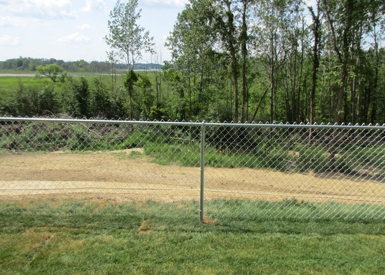 Steel Wire Galvanized 9ga 8 Ft High Chain Link Fence For Residential