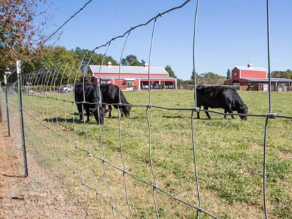 100m Width Animal Wire Fencing , 1.8mm Diameter Wire Cattle Panels