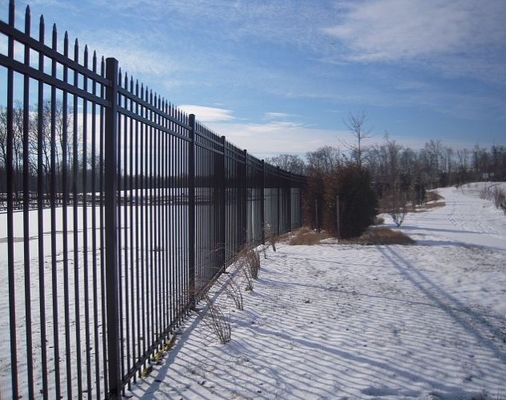 2.1x2.4m Powder Coated Ce Passed Wrought Iron Picket Fence For High Security