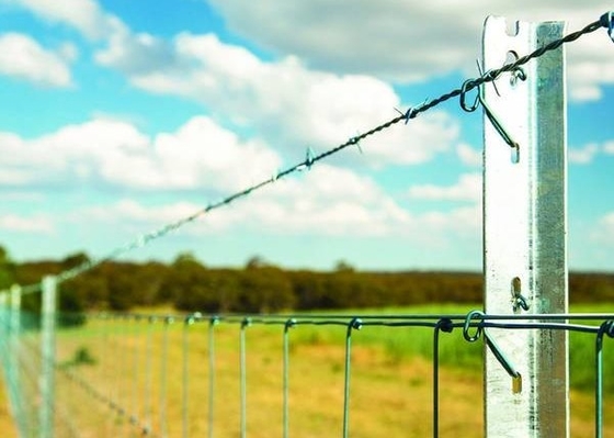 45cm Length Galvanised Star Pickets , 2.04kg Steel Star Picket