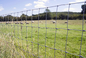 ISO-2001 50-100m High Tensile Sheep And Goat Fence For Australia Market