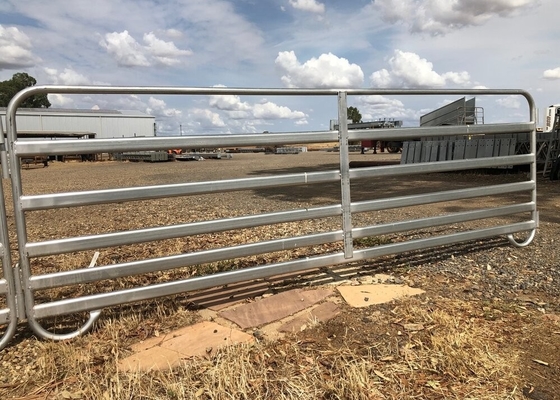 2.9 Metres Long Rail Hdg Heavy Duty Cattle Panel 25nb X 1.8 Wall Portable for Sheep Yard