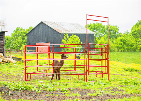 Galvanised Pipe 16 Foot Horse Panels Welded Portable For Farm Fence