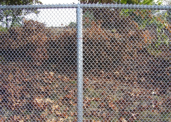 6ft Galvanized 11.5ga Steel Chain Link Fencing Diamond Wire Mesh